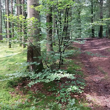 Haus Fendel Schoenberg