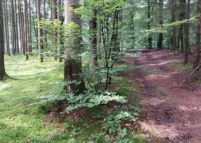 Haus Fendel Schoenberg